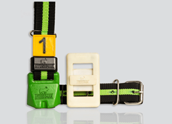 Ayushman Cow Basic Collar